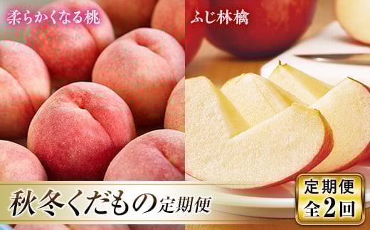 ss\ 2026NtH~ց`E񂲁`     fU[g t[c ʕ  ʎ Hi R` FSY-2452R`31000ʕEt[cE