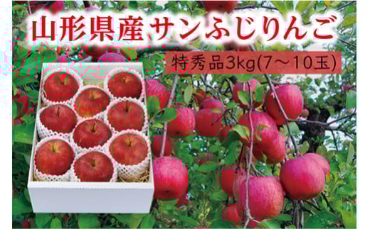 《先行予約 2025年度発送》【山形県産】サンふじりんご特秀品3kg  りんご リンゴ 林檎 デザート フルーツ 果物 くだもの 果実 食品 山形県 FSY-0408山形県12000果物・フルーツりんご・梨