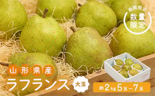 ss\ 2025NxtyʎztX2kg`Yʓ{̂܂`  Ȃ iV  fU[g t[c ʕ  ʎ Hi R` FSY-1900R`12000ʕEt[c