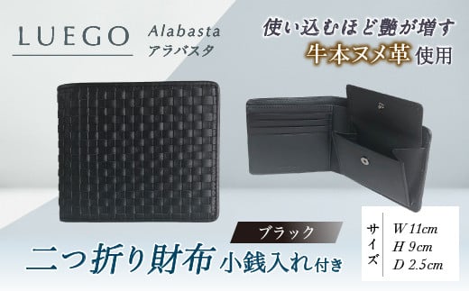 LUEGO Alabasta AoX^ ܂z Kt iubNj F2Y-3265R`167000ߗށEiEH|iz