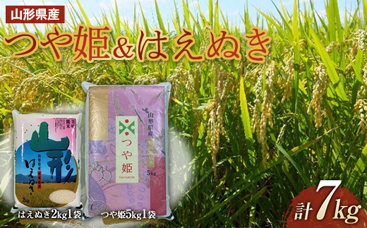 R`Y P5kg ͂ʂ2kgZbg  P   uh  ~ { R ͂  Hi R` F2Y-3357R`15000āEp