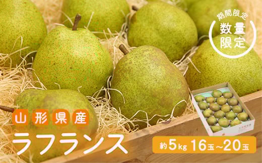 《先行予約 2025年度発送》【王将果樹園】ラフランス5kg〜生産量日本一のまちより〜  なし ナシ 梨 デザート フルーツ 果物 くだもの 果実 食品 山形県 FSY-1901山形県17000果物・フルーツりんご