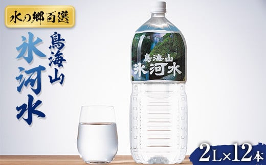 【水の郷百選】山形県 鳥海山 氷河水(ひょうがすい)2L×12本 天然水 ミネラルウォーター F2Y-6309山形県13000お茶・飲料水・ミネラルウォーター