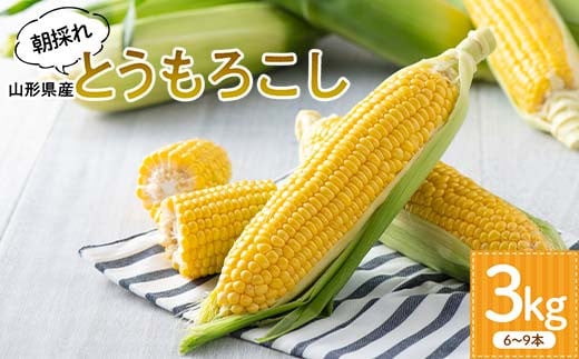 ≪2026年先行予約≫【長岡ファーム】 農家直送 山形県産 朝採れ とうもろこし 3kg(6〜9 本) 2026年8月上旬から順次発送 F2Y-5459山形県13000野菜・きのことうもろこし