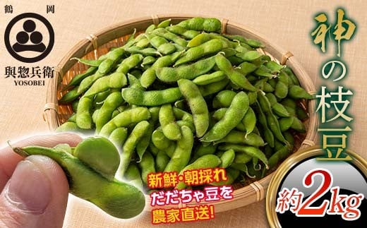 ≪2026年先行予約≫【與惣兵衛】山形県産 神の枝豆 だだちゃ豆 約2kg 2026年8月上旬から順次発送 F2Y-5462山形県20000野菜・きのこ豆類