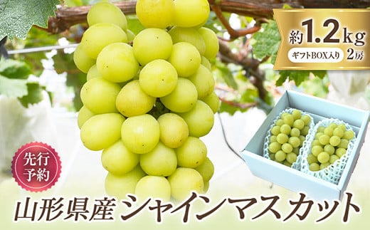 山形県産 シャインマスカット 2房 約1.2kg前後  マスカット ぶどう ブドウ 葡萄 デザート フルーツ 果物 くだもの 果実 食品 山形県 FSY-0579山形県17000果物・フルーツマスカット・ぶどう