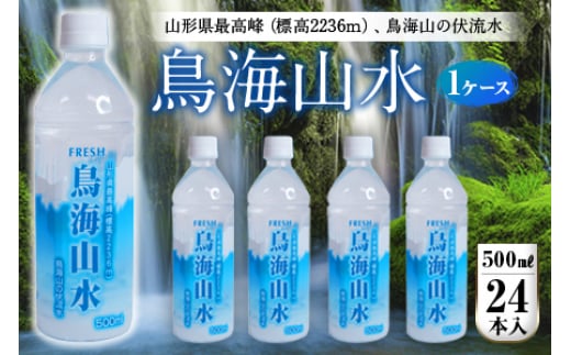 FRESH CR500ml 1P[X(24{) F2Y-4225R`13000EE~lEH[^[