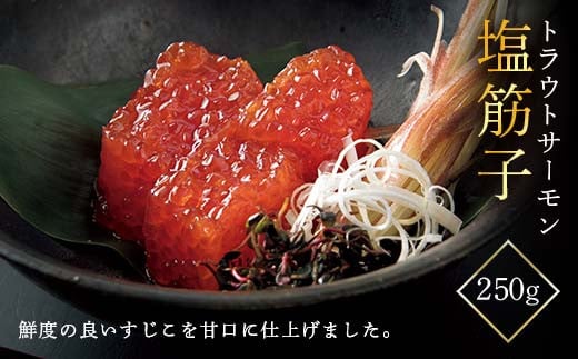 yR`ۋz gEgT[ ؎q 250g F2Y-5491R`11000ECY
