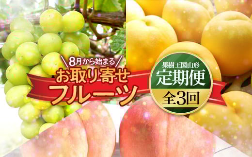 《先行予約 2026年8月上旬発送開始 定期便》8月から始まる お取り寄せフルーツ(白桃 黄桃 シャインマスカット)  もも モモ 桃 デザート フルーツ 果物 くだもの 果実 食品 山形県 FSY-2465山