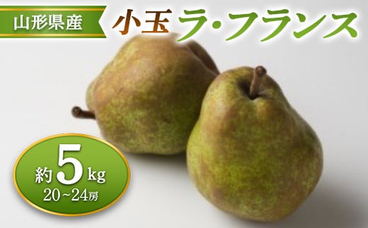 ≪2025年先行予約≫ 山形県産 小玉ラ・フランス 約5kg  なし ナシ 梨 デザート フルーツ 果物 くだもの 果実 食品 山形県 FSY-0687山形県14000果物・フルーツりんご・梨