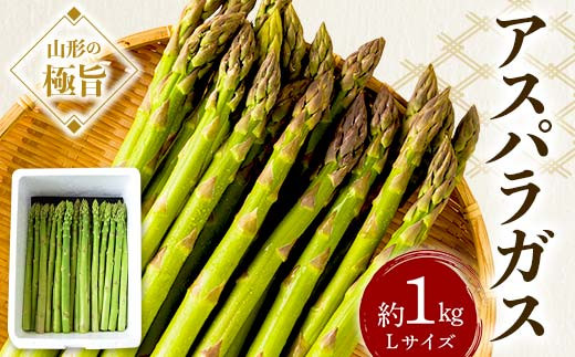 《先行予約 2026年度発送》山形の極旨 アスパラガス 約1kg(Lサイズ)  アスパラ 野菜 食品 山形県 FSY-0800山形県12000野菜・きのこその他 野菜
