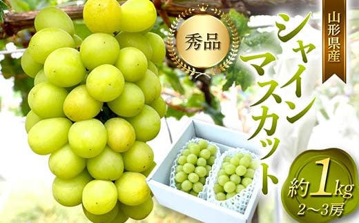 R`Y VC}XJbg 2`3 [ 1kg  }XJbg Ԃǂ uhE  fU[g t[c ʕ  ʎ Hi R` FSY-0802R`14000ʕEt[c}XJbgEԂǂ