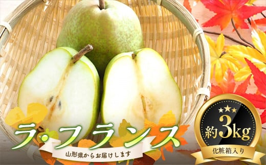 《2025年発送》 ラ・フランス 約3kg 化粧箱入り FSY-0864山形県12000果物・フルーツりんご・梨