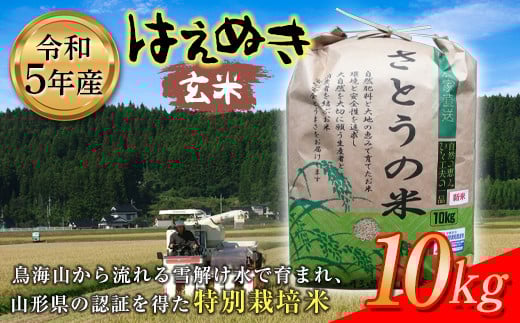 令和5年産 はえぬき 玄米10kg 特別栽培米 F2Y-3651山形県13000米・パン玄米・雑穀米・もち米・餅