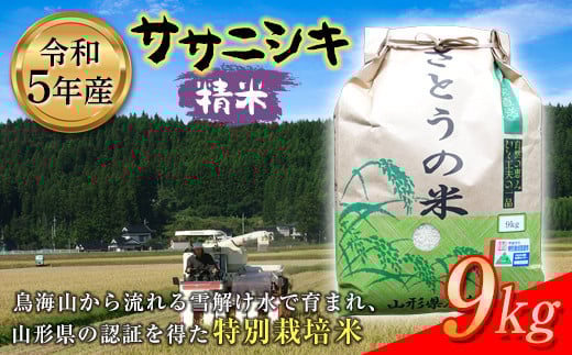 令和5年産 ササニシキ 精米9kg 特別栽培米 F2Y-3653山形県13000米・パン白米