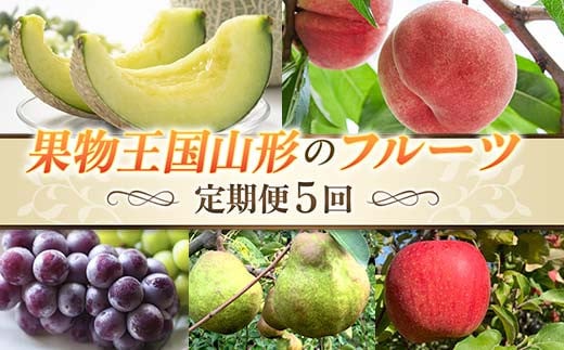 ys\ 2026Nxzy5zʕR`̃t[c FSY-2382R`103000ʕEt[cEXCJ