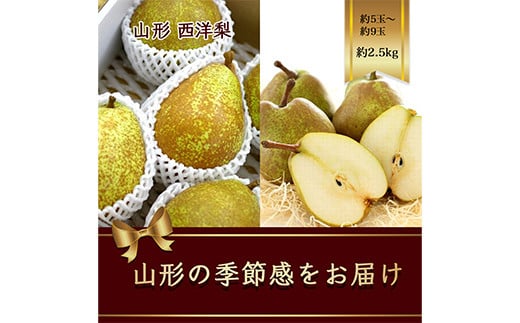 【2025年発送先行予約】西洋梨 約5玉〜約9玉 約2.5kg《品種指定はできません》  なし ナシ 梨 デザート フルーツ 果物 くだもの 果実 食品 山形県 FSY-1081山形県13000果物・フルーツりんご・梨