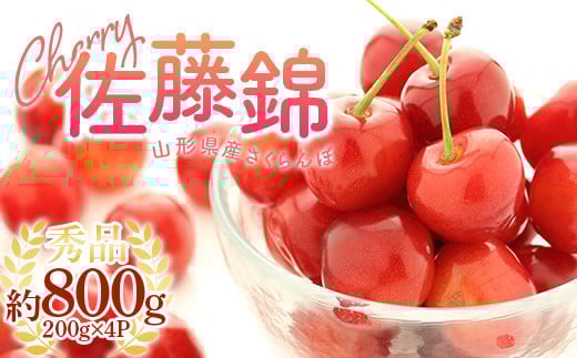 《2026年産先行受付》 山形県産 さくらんぼ<佐藤錦>秀品 約800g Lサイズ 200g×4パック FSY-1196山形県14000果物・フルーツさくらんぼ