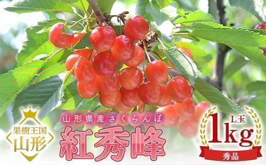 【2026年産 先行予約】山形県産さくらんぼ 紅秀峰 秀品 L玉 1kg バラ詰め 化粧箱入り FSY-2201山形県23000果物・フルーツさくらんぼ