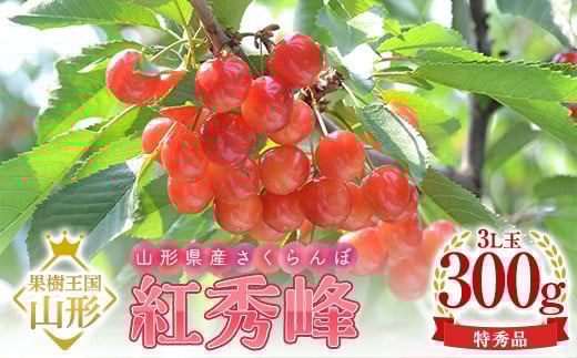 【2026年産 先行予約】山形県産さくらんぼ 紅秀峰 特秀 3L玉 300g 鏡詰め 化粧箱入り FSY-1096山形県27000果物・フルーツさくらんぼ