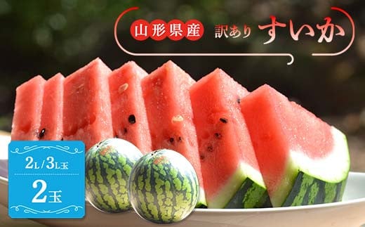 y2026NY s\zR`Y  󂠂 2L/3L 2 (6.8kg O×2)  XCJ Z fU[g t[c ʕ  ʎ Hi R` FSY-2397R`19000ʕEt[cEXCJ