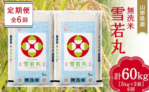 山形県産 無洗米 雪若丸 10kg(5kg×2袋) 全6回定期便 F2Y-3732山形県94000米・パン無洗米