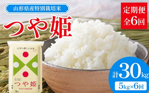 山形県産 特別栽培米 つや姫 5kg 全6回定期便  米 お米 ブランド米 銘柄米 備蓄 日本米 コメ ごはん ご飯 食品 山形県 F2Y-3736山形県51000米・パン白米