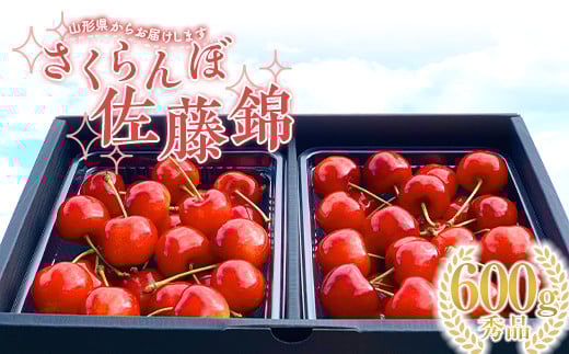 【2026年先行予約】さくらんぼ「佐藤錦」600g 秀品 Lサイズ以上 山形県産 FSY-1202山形県19000果物・フルーツさくらんぼ