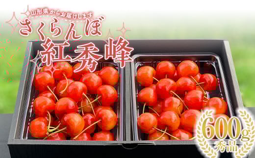 【2026年先行予約】さくらんぼ「紅秀峰」600g 秀品 2Lサイズ以上 山形県産 FSY-1203山形県24000果物・フルーツさくらんぼ