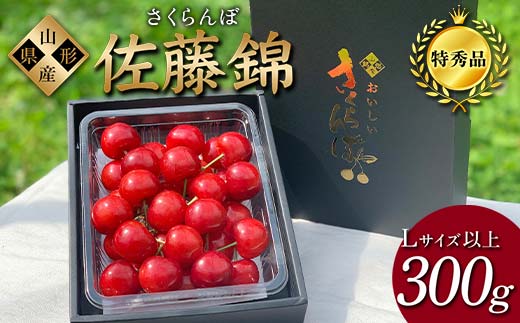 【2026年先行予約】さくらんぼ「佐藤錦」300g 特秀品 Lサイズ以上 山形県産 FSY-1204山形県16000果物・フルーツさくらんぼ