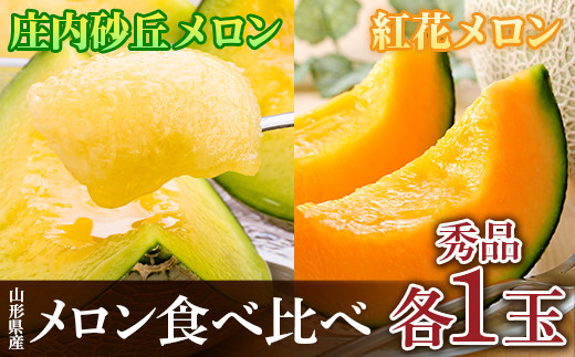 ≪先行予約令和8年度発送≫ 希少【庄内砂丘メロン】夏ギフト 紅花メロン(赤肉)とアンデスメロン(青肉)【みちのくギフト】  メロン デザート フルーツ 果物 くだもの 果実 食品 山形県