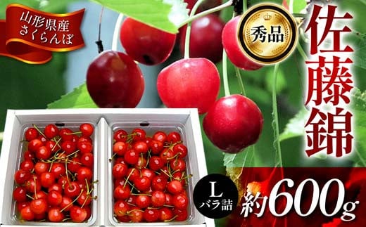 《先行受付2026年度6月発送》 山形県産 さくらんぼ 佐藤錦 秀品 Lサイズ 約600gバラ詰め FSY-1214山形県19000果物・フルーツさくらんぼ