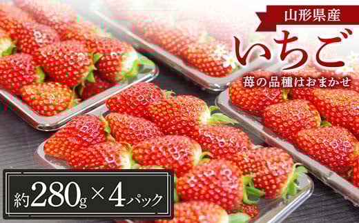 山形県産 いちご (苺の品種はおまかせ) 約280g×4パック【1月中旬から順次発送】 FSY-1228山形県22000果物・フルーツいちご