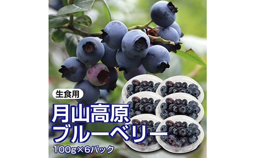 【先行予約 2026年度発送】山形県月山高原産 大澤農園のブルーベリー 100g×6パック 計600g 生食用 爽やかな甘酸っぱさが魅力です  フルーツ 果物 くだもの 果実 食品 山形県 FSY-1224山形県11000果