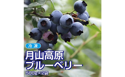 R`RY V_̃u[x[ Ⓚ 500g×2pbN v1kg Ⓚg蔲Q FSY-1225R`12000ʕEt[c̑ ʕEt[c