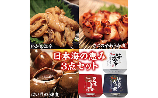 「日本海の恵み3点セット」いか塩辛・タコのやわらか煮・ばい貝のうま煮 F2Y-3797山形県11000魚介・海産物その他 魚介・海産物