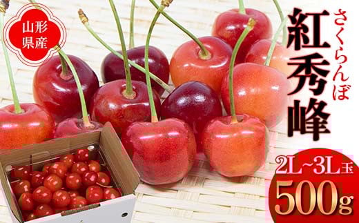 《先行予約 2026年度発送》さくらんぼ 紅秀峰 約500g 秀品 2L〜3Lサイズ FSY-1278山形県17000果物・フルーツさくらんぼ