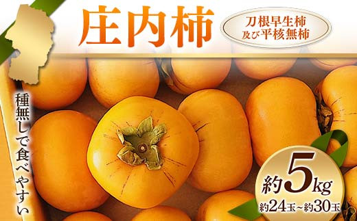 s2025Nxt` 햳ŐHׂ₷ `yѕj` 5kg 24ʁ`30  `  fU[g t[c ʕ  ʎ Hi R` FSY-2417R`19000ʕEt[c̑