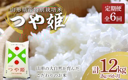 y6z R`Yʍ͔| P 2kgiāj×6 v12kg    uh  ~ { R ͂  Hi R` F2Y-3896R`35000āEp
