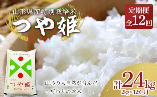 y12z R`Yʍ͔| P 2kgiāj×12 v24kg    uh  ~ { R ͂  Hi R` F2Y-3897R`78000āEp
