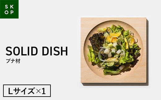 SKOP SOLID DISH (XRbv \bhfBbV) ui LTCY 1 ؎M F2Y-5839R`23000G݁EpiHEOX