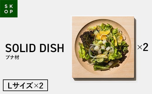 uH|v×uTENTvJ SKOP SOLID DISH (XRbv \bhfBbV) ui LTCY 2 ؎M F2Y-5845R`43000G݁EpiHEOX