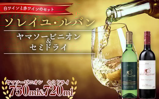 \CEo }\[rjI 750ml  Z~hC 720ml Zbg F2Y-5575R`17000EAR[C