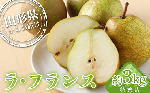 山形県産 厳選ラ・フランス 特秀品 3kg 化粧箱(8〜10玉入り)《2025年11月発送開始》  なし ナシ 梨 デザート フルーツ 果物 くだもの 果実 食品 山形県 FSY-1356山形県13000果物・フルーツりんご