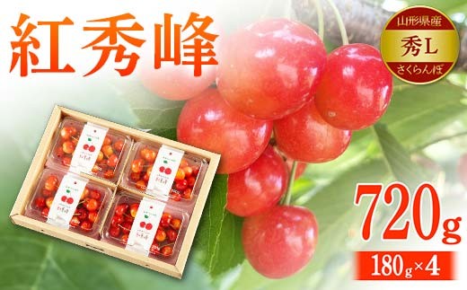 【令和8年先行予約】山形県産 さくらんぼ 紅秀峰 秀L 180g×4 FSY-2148山形県16000果物・フルーツさくらんぼ