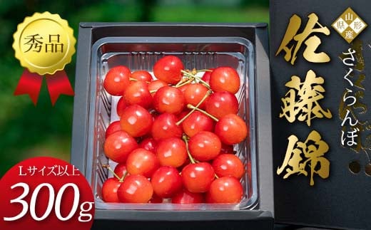 【先行受付(令和8年度発送)】 2026年産 さくらんぼ「佐藤錦」300g 秀品 Lサイズ以上 山形県産 FSY-2084山形県12000果物・フルーツさくらんぼ
