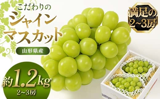 ys\i2026N9菇jzy2`3[z̃VC}XJbg 1.2kg R`Y FSY-2535R`17000ʕEt[c}XJbgEԂǂ