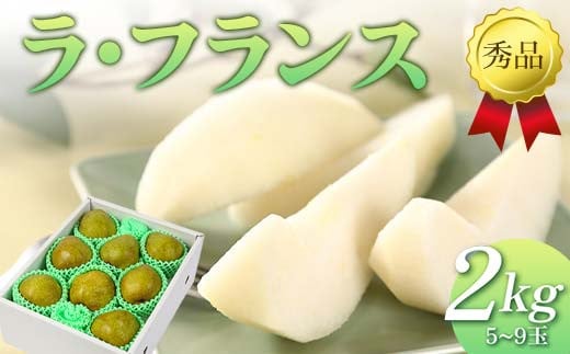 【先行予約(2025年11月中旬頃より順次発送)】ラ・フランス 2kg 秀品 FSY-2089山形県10000果物・フルーツりんご・梨