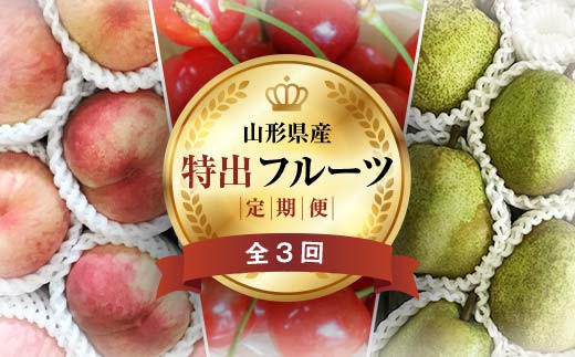 《2026年先行予約》 山形県 至高のフルーツ! 山形県特出フルーツ定期便 全3回 FSY-2461山形県37000果物・フルーツさくらんぼ