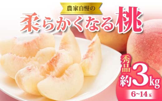 《2026年 先行予約》 農家自慢の柔らかくなる桃 約3kg(6〜14玉) 果物 フルーツ FSY-2053山形県17000果物・フルーツもも・すもも